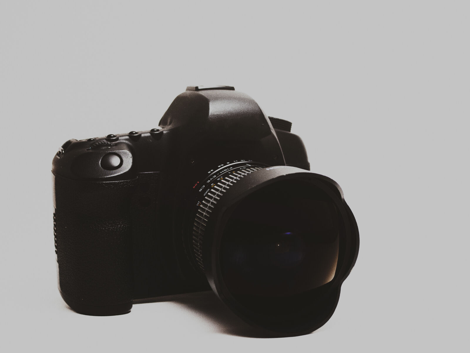 Olympus OM-D E-M5 II sample photo. Camera, camera, on, white photography