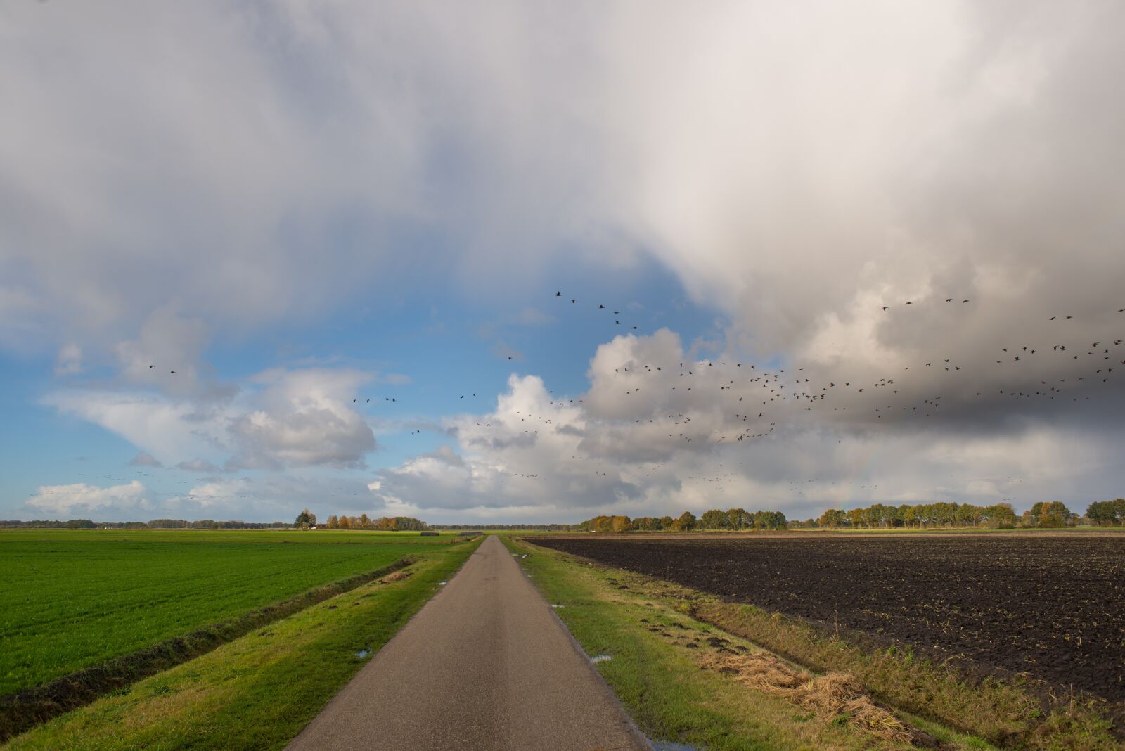 Nikon D610 sample photo. Road, dutch, sky photography