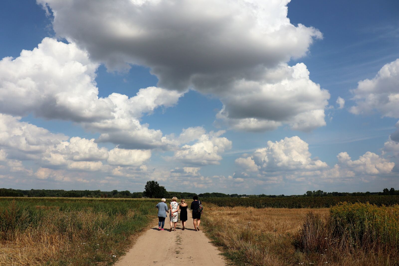 Canon EOS M6 sample photo. Landscape, walk, fields photography