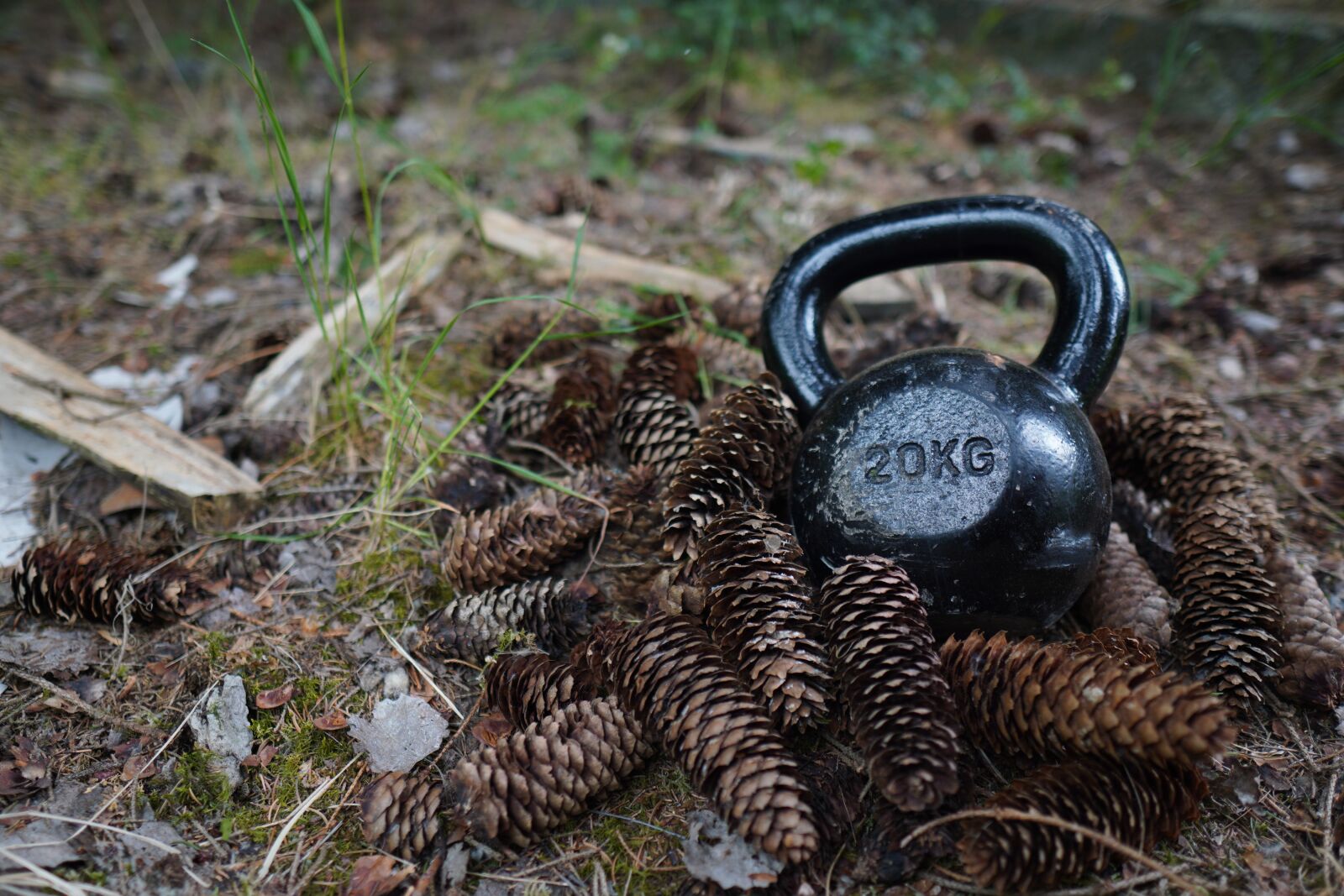 Sony a6400 + Sigma 16mm F1.4 DC DN | C sample photo. Carnivore, kettlebell, trening photography