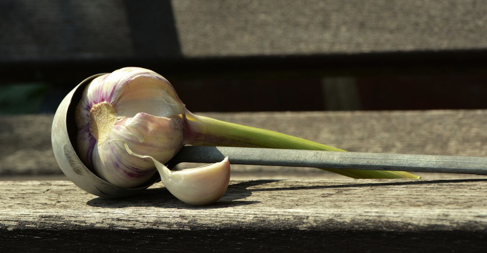 Nikon D5200 sample photo. Garlic, tuber, fresh garlic photography