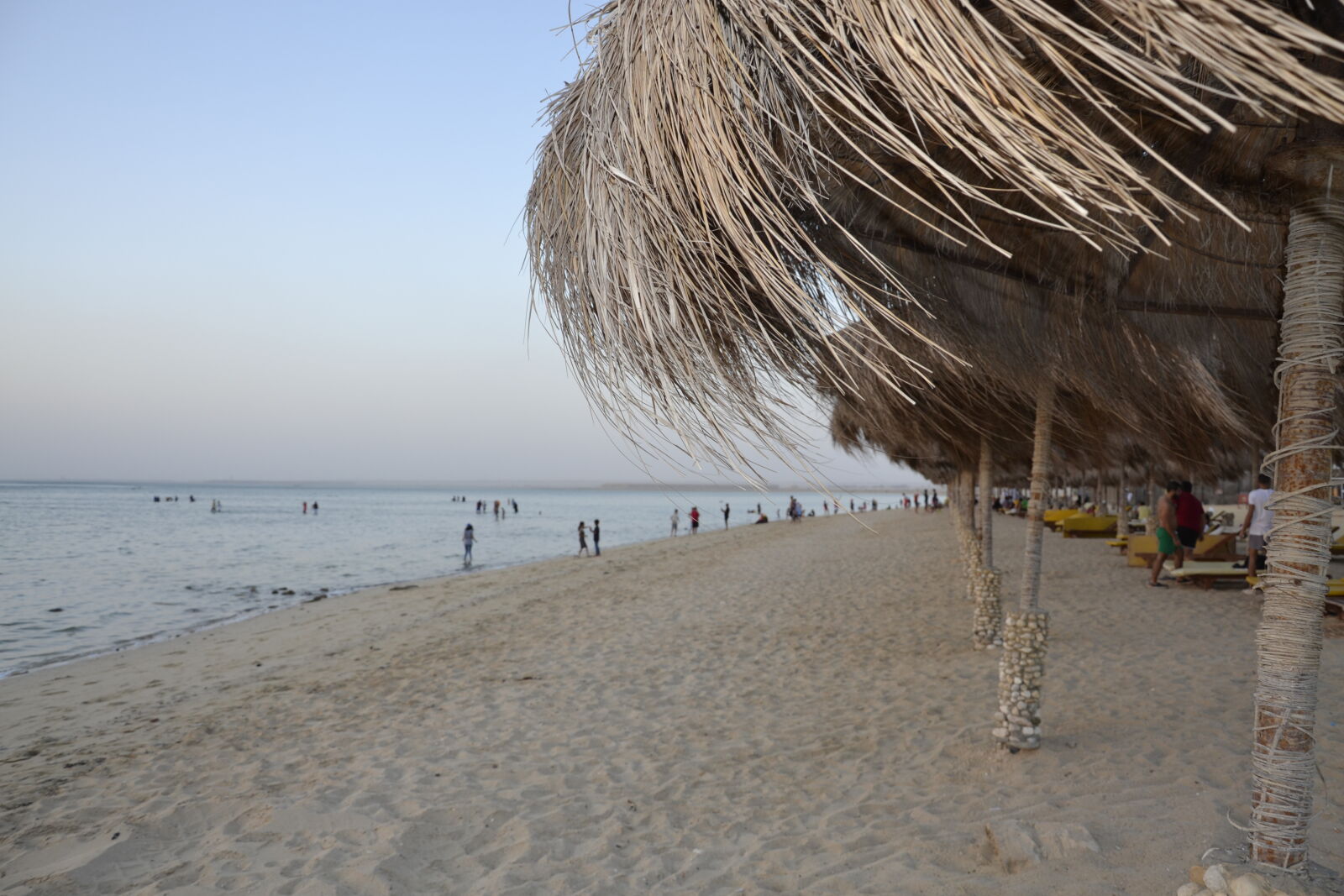 Nikon D3100 sample photo. X, egypt, everydayeverywhere, everydayafric photography
