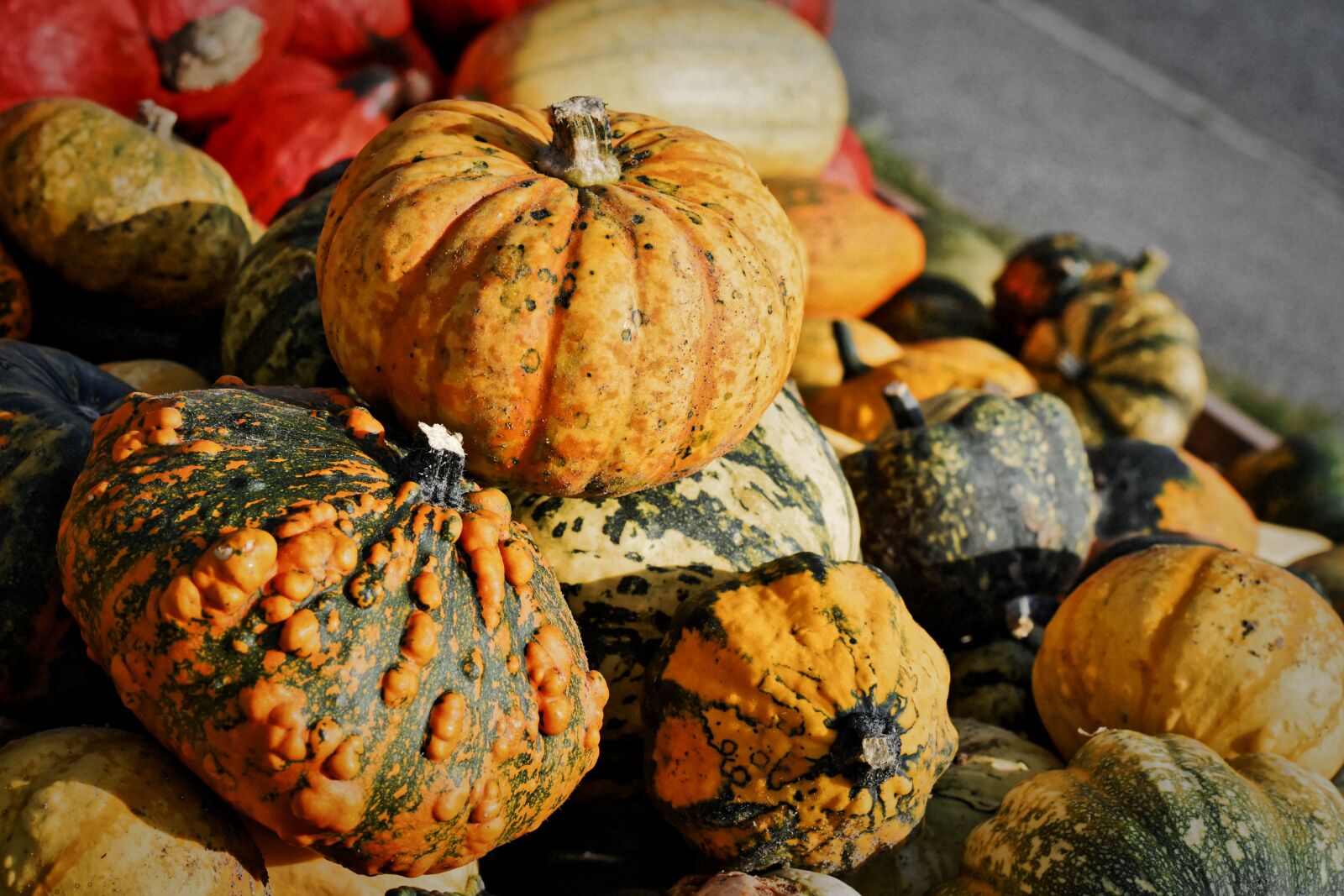 Nikon D7200 sample photo. Pumpkin, decorative squashes, fruit photography