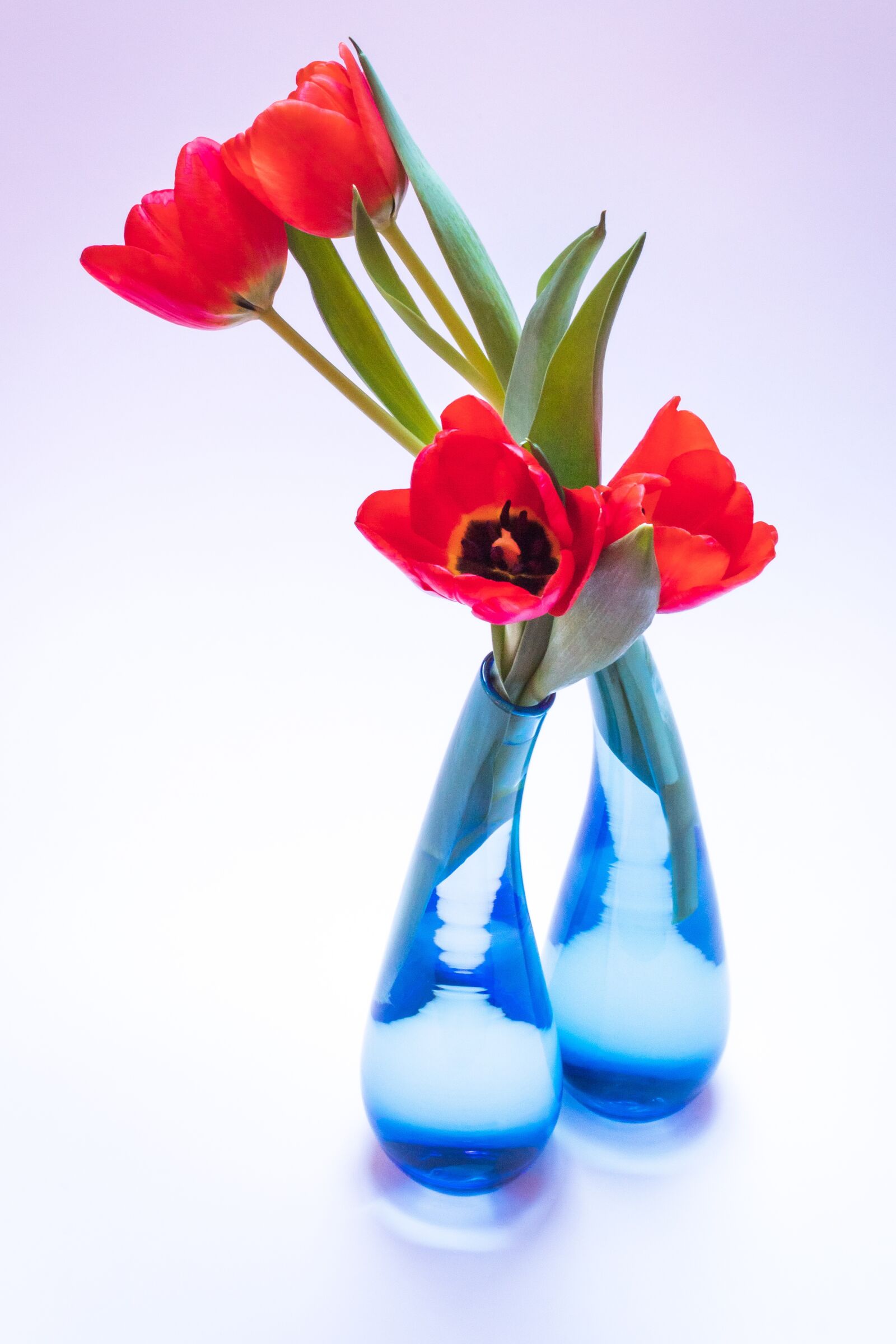Canon EOS 1300D (EOS Rebel T6 / EOS Kiss X80) sample photo. Tulip, tulip bouquet, glass photography