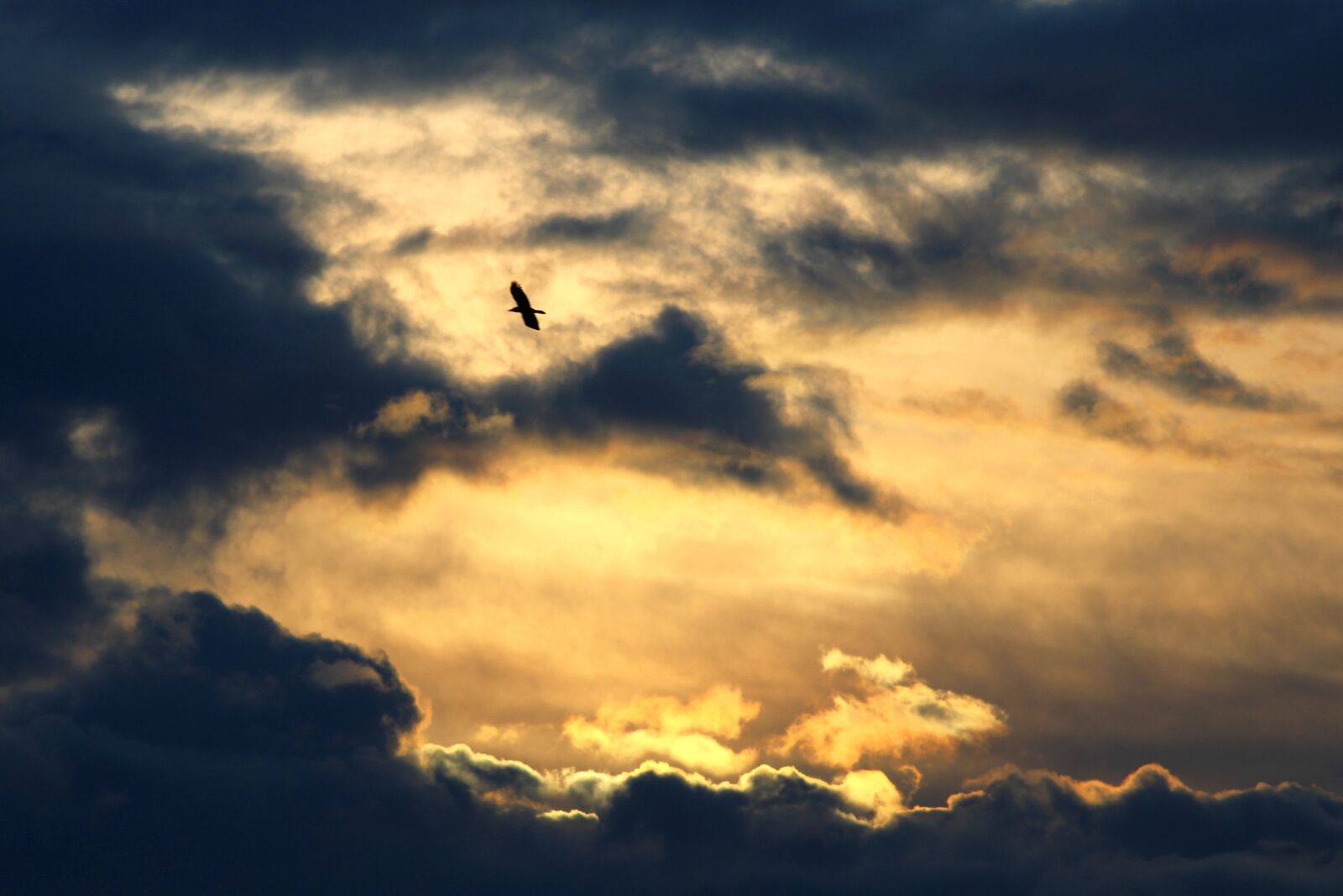 Canon EOS 2000D (EOS Rebel T7 / EOS Kiss X90 / EOS 1500D) sample photo. Evening sky, clouds, sun photography