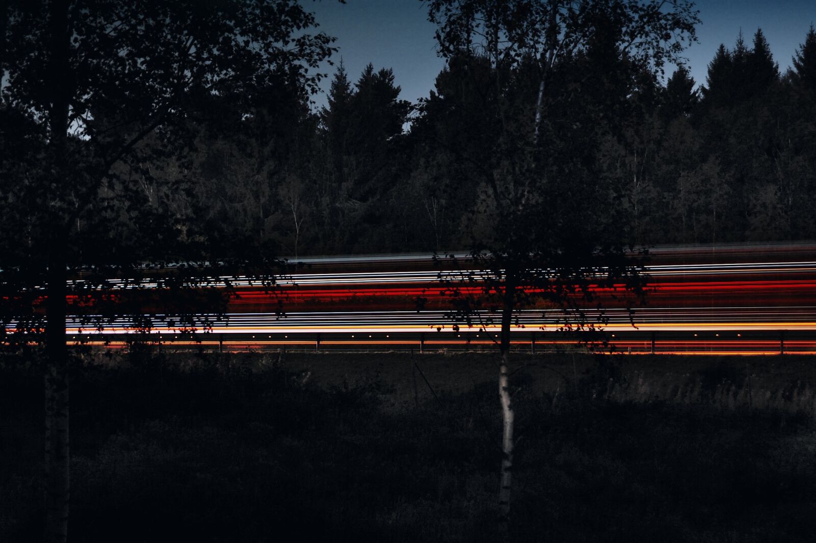 Nikon D40 sample photo. Action, blur, dark, evening photography