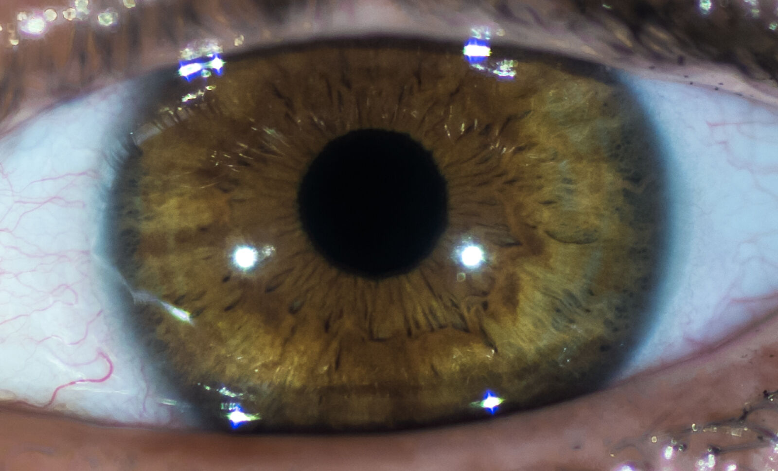 Sony ILCA-77M2 sample photo. Eye, pupil, women photography