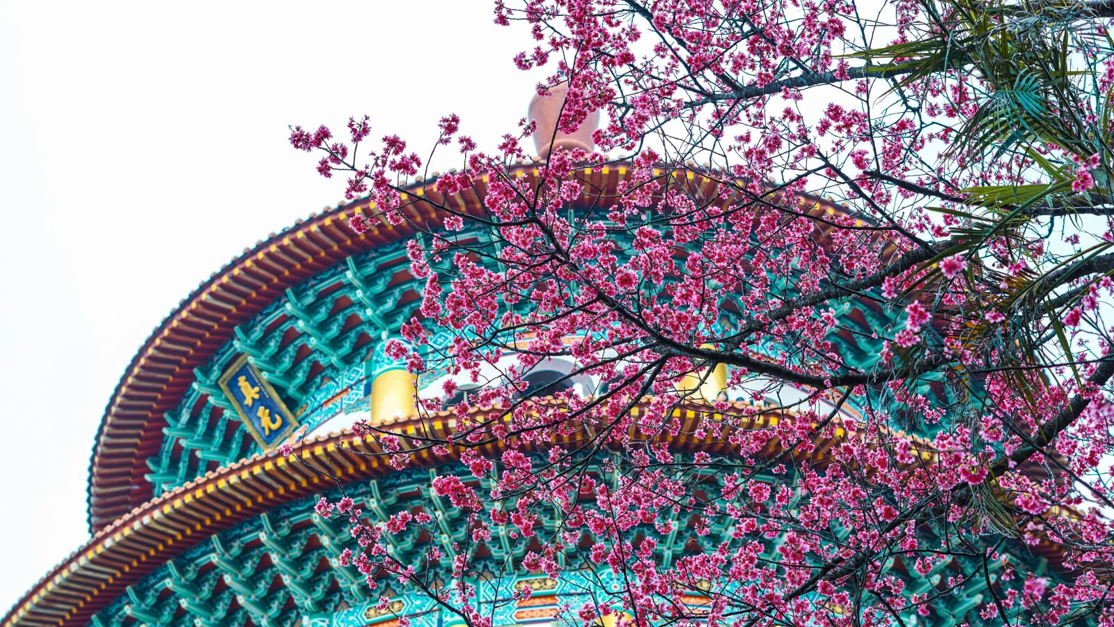 Sony FE 50mm F1.8 sample photo. Temple, culture, peach photography