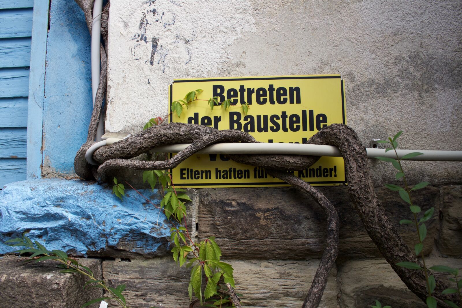 Canon EOS 700D (EOS Rebel T5i / EOS Kiss X7i) sample photo. Trespassing, walk into, shield photography