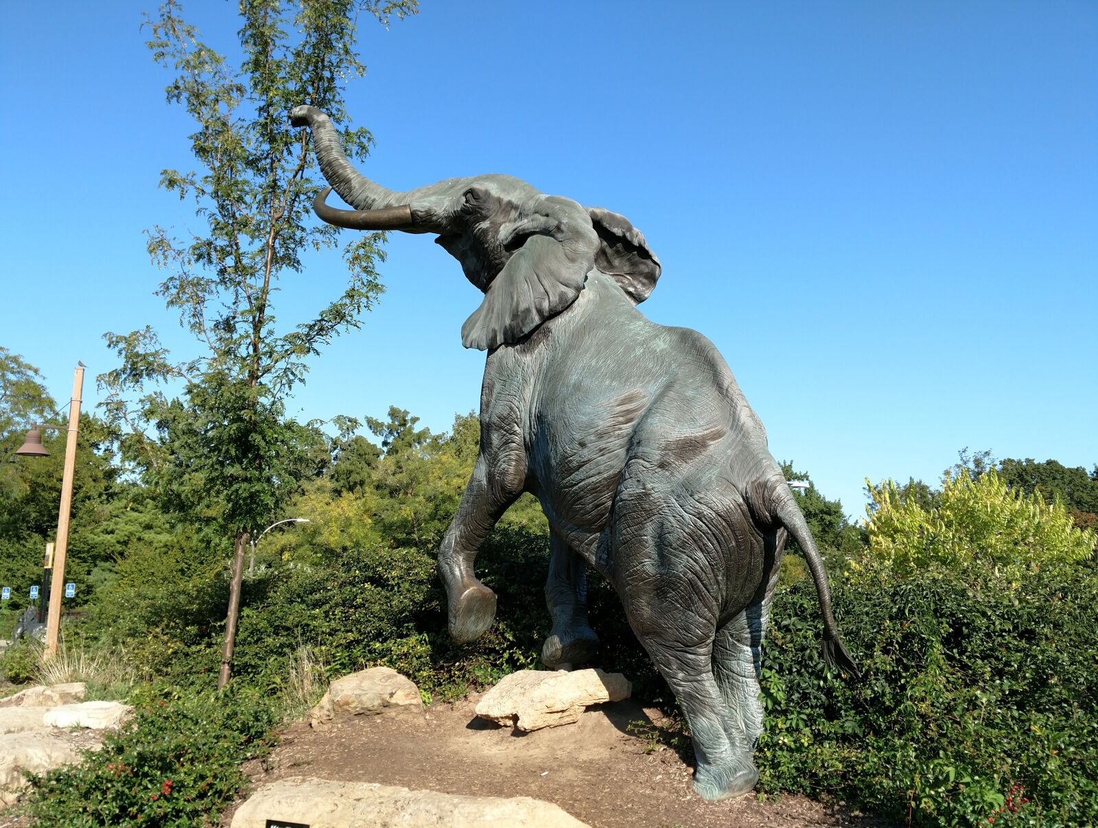 Motorola XT1650 sample photo. Elephant, statue, zoo photography