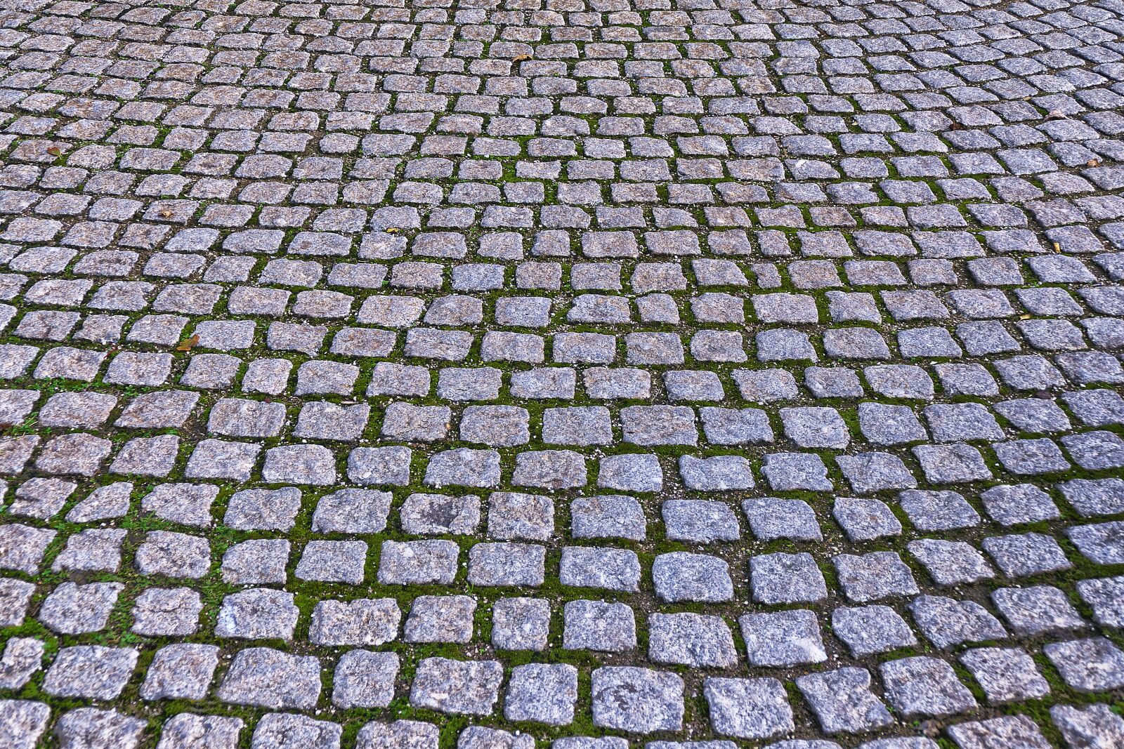Panasonic Lumix DMC-FZ1000 sample photo. Cobblestones, paving stones, patch photography