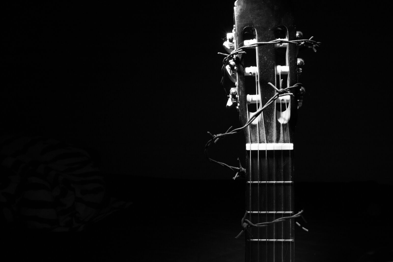 Canon EOS 500D (EOS Rebel T1i / EOS Kiss X3) sample photo. Guitar, barbed wire, black photography