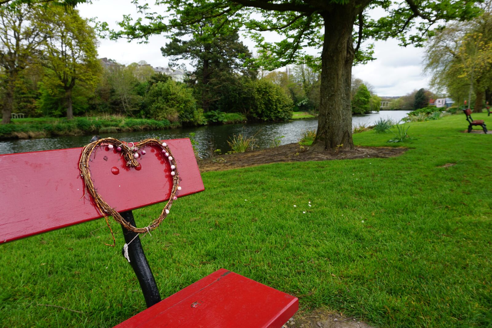Sony a6000 sample photo. Cork, ireland, bench photography