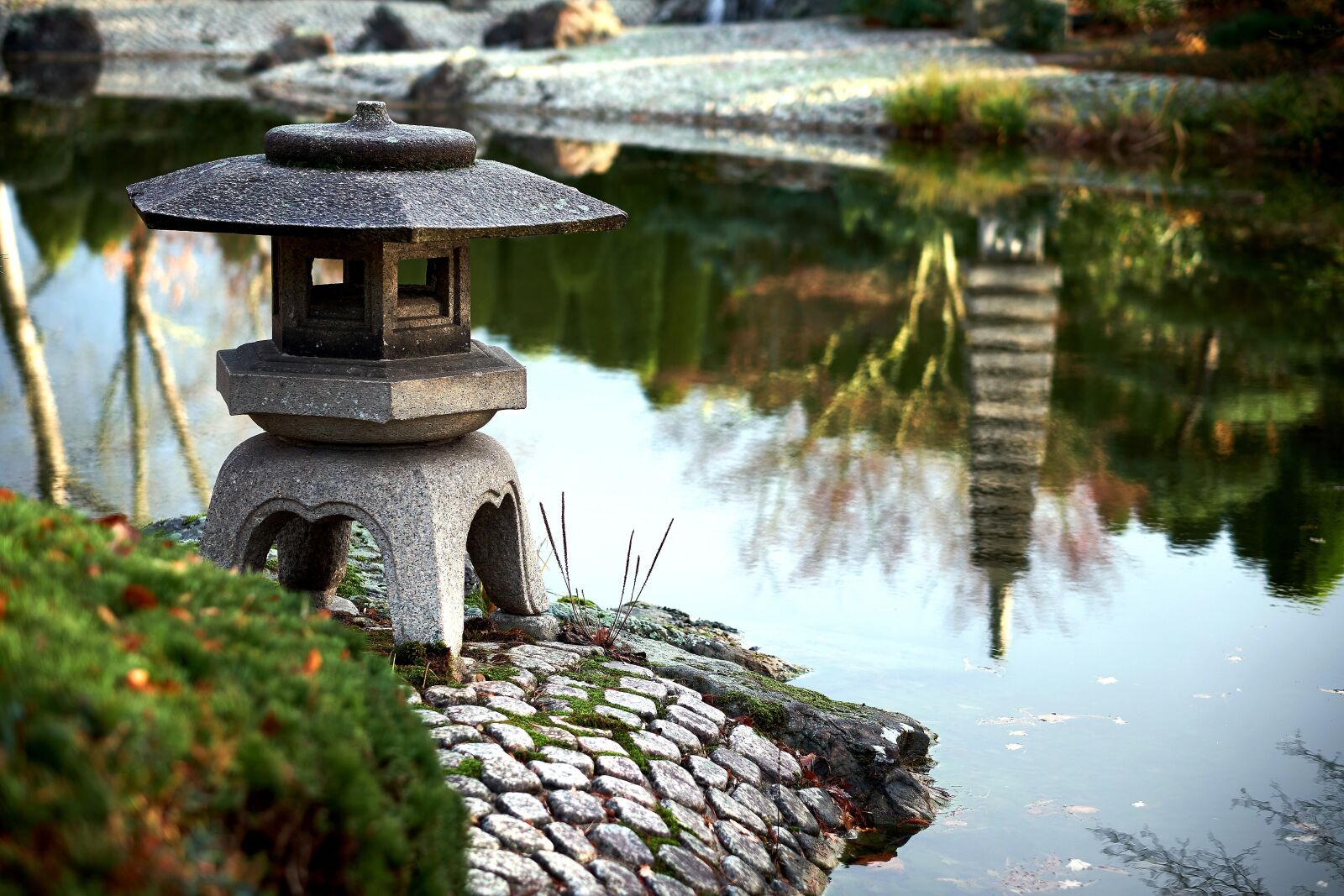 Fujifilm X-E2S + Fujifilm XF 56mm F1.2 R sample photo. Japanese garden, bonn, park photography