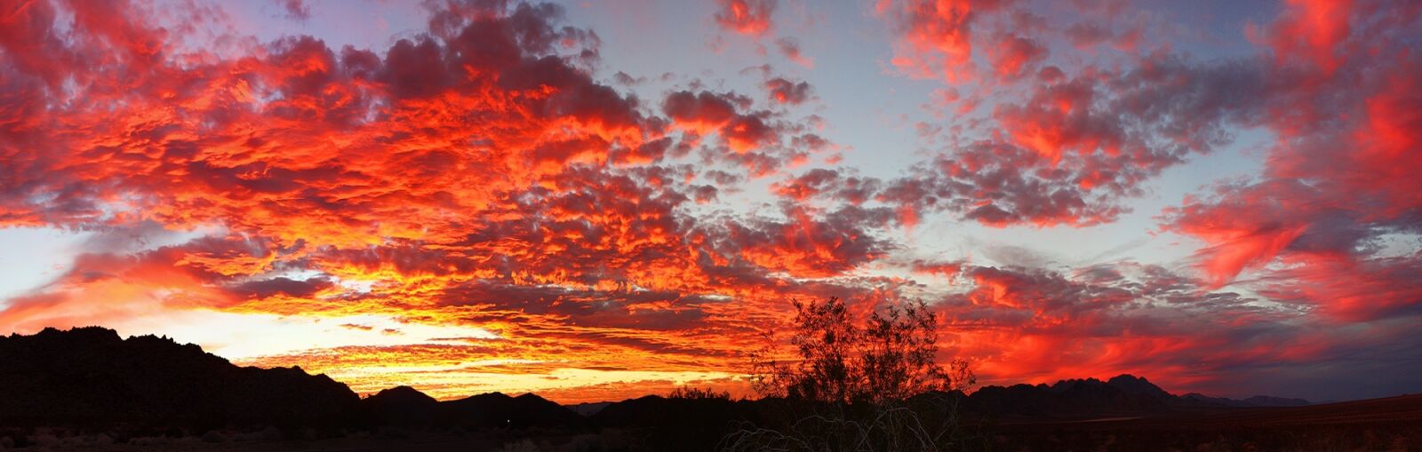 Canon EOS 450D (EOS Rebel XSi / EOS Kiss X2) sample photo. Sunset, landscape, joshua tree photography