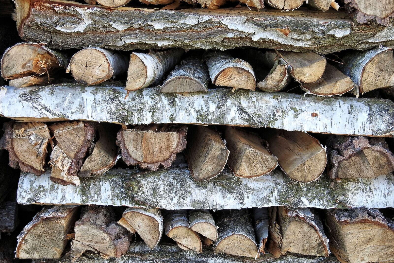 Nikon Coolpix P900 sample photo. Holzstapel, texture, wood photography