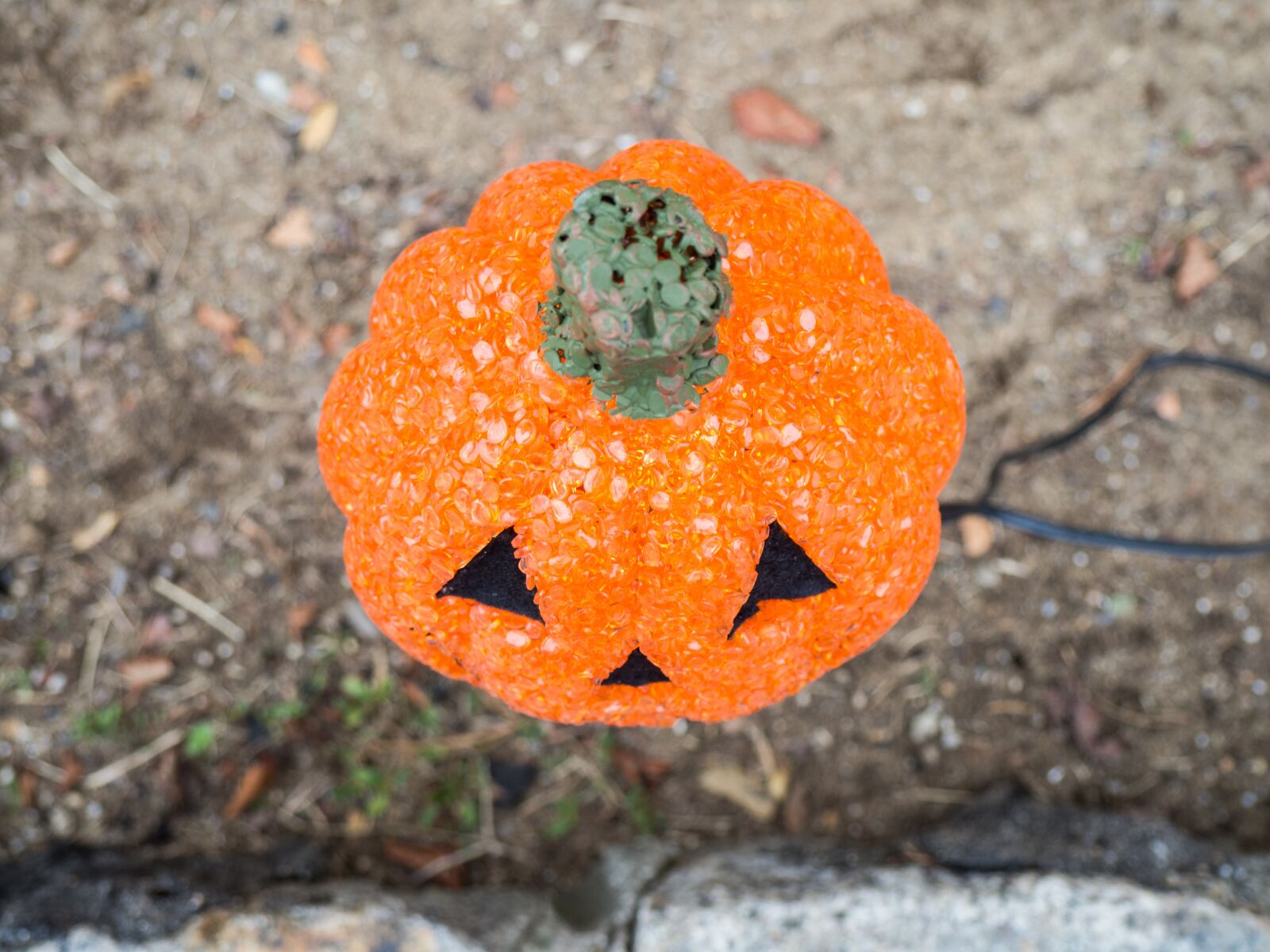 Olympus OM-D E-M10 sample photo. Orange, jewels, pumpkin photography