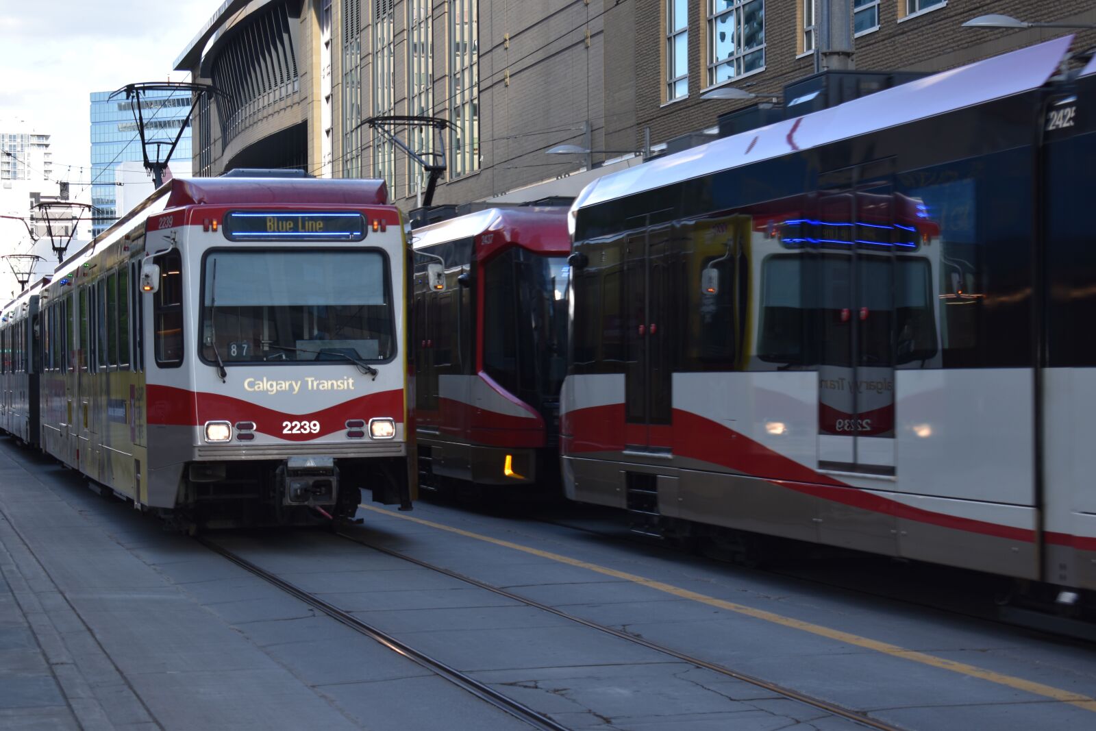 Nikon D5600 sample photo. C-train, train, train station photography