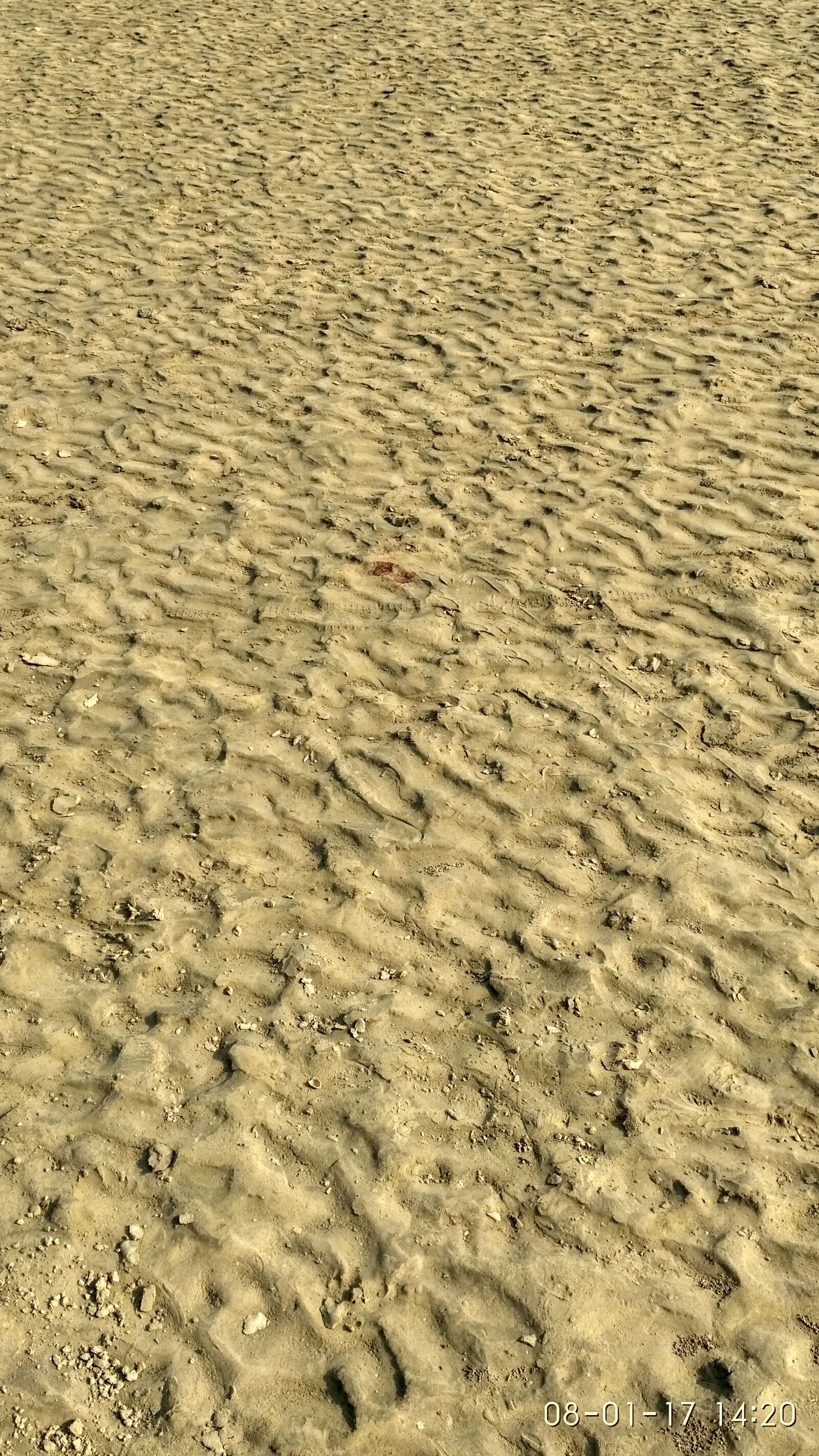 Xiaomi Redmi 3S sample photo. Sand photography