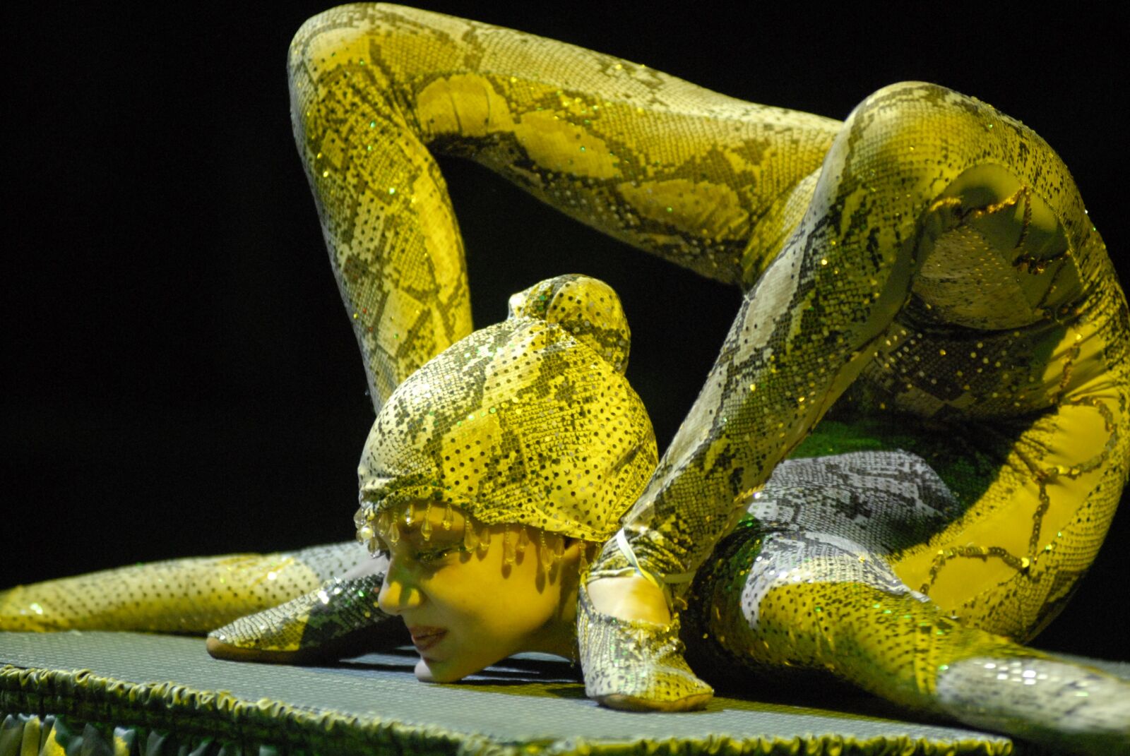Nikon D200 sample photo. Circus, european youth circus photography