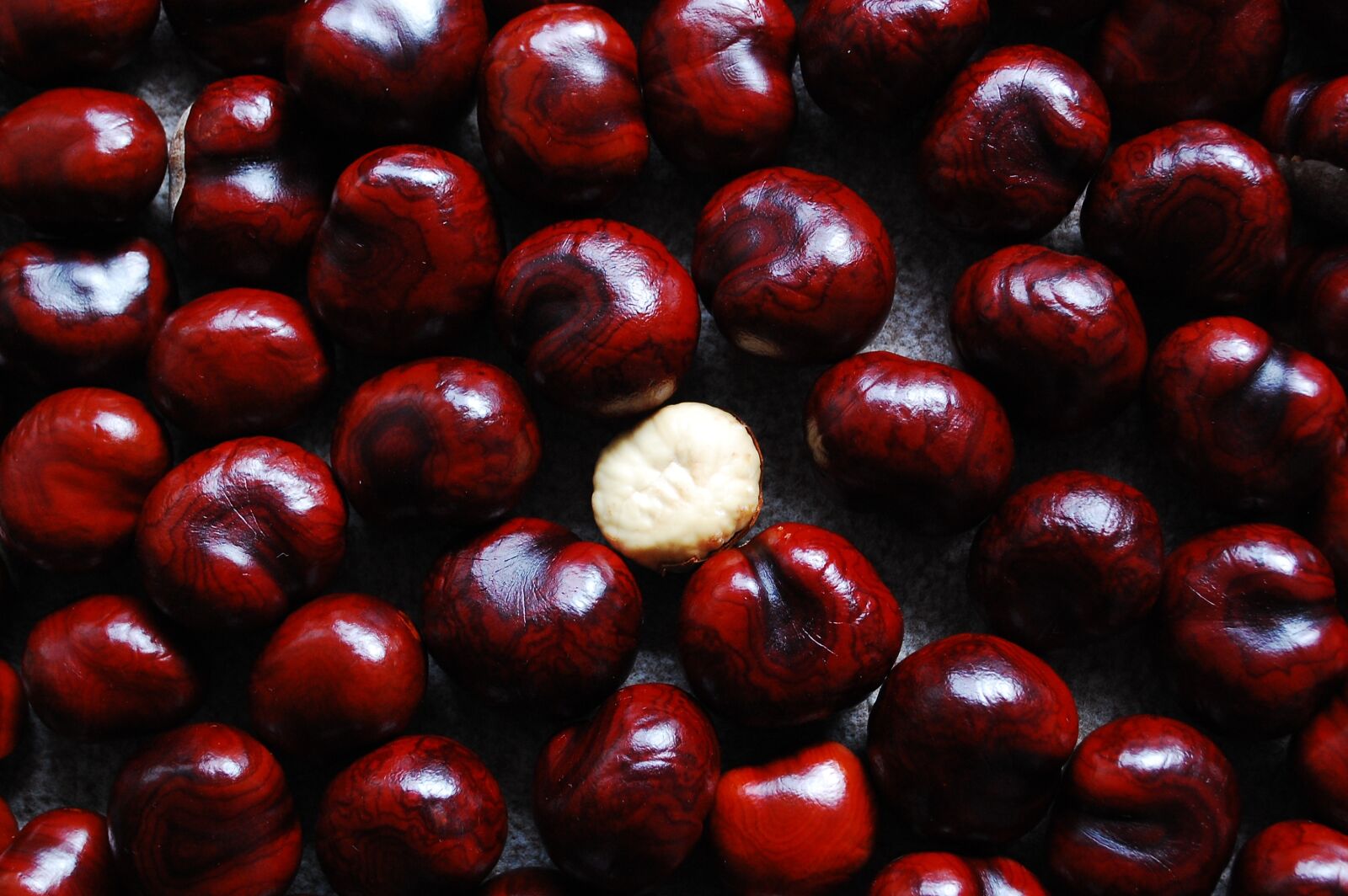 Nikon D40 sample photo. Chestnut, nuts, still life photography