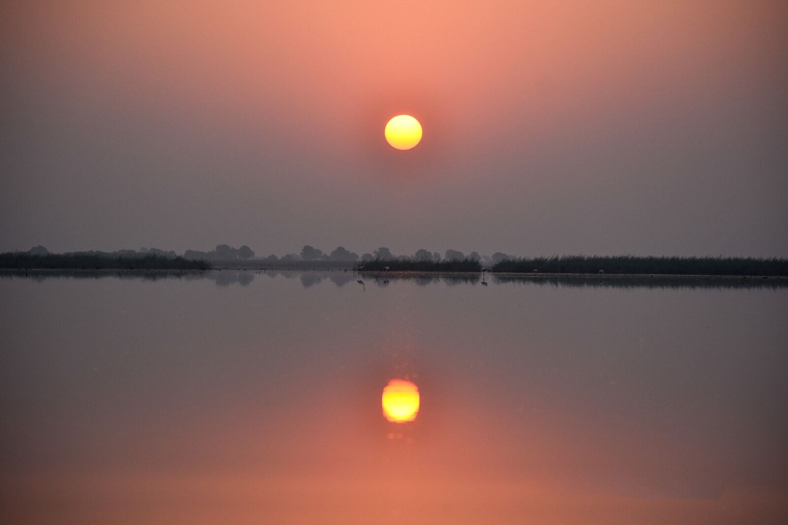 Nikon D3400 sample photo. Reflection, sunrise, ahmadabad photography