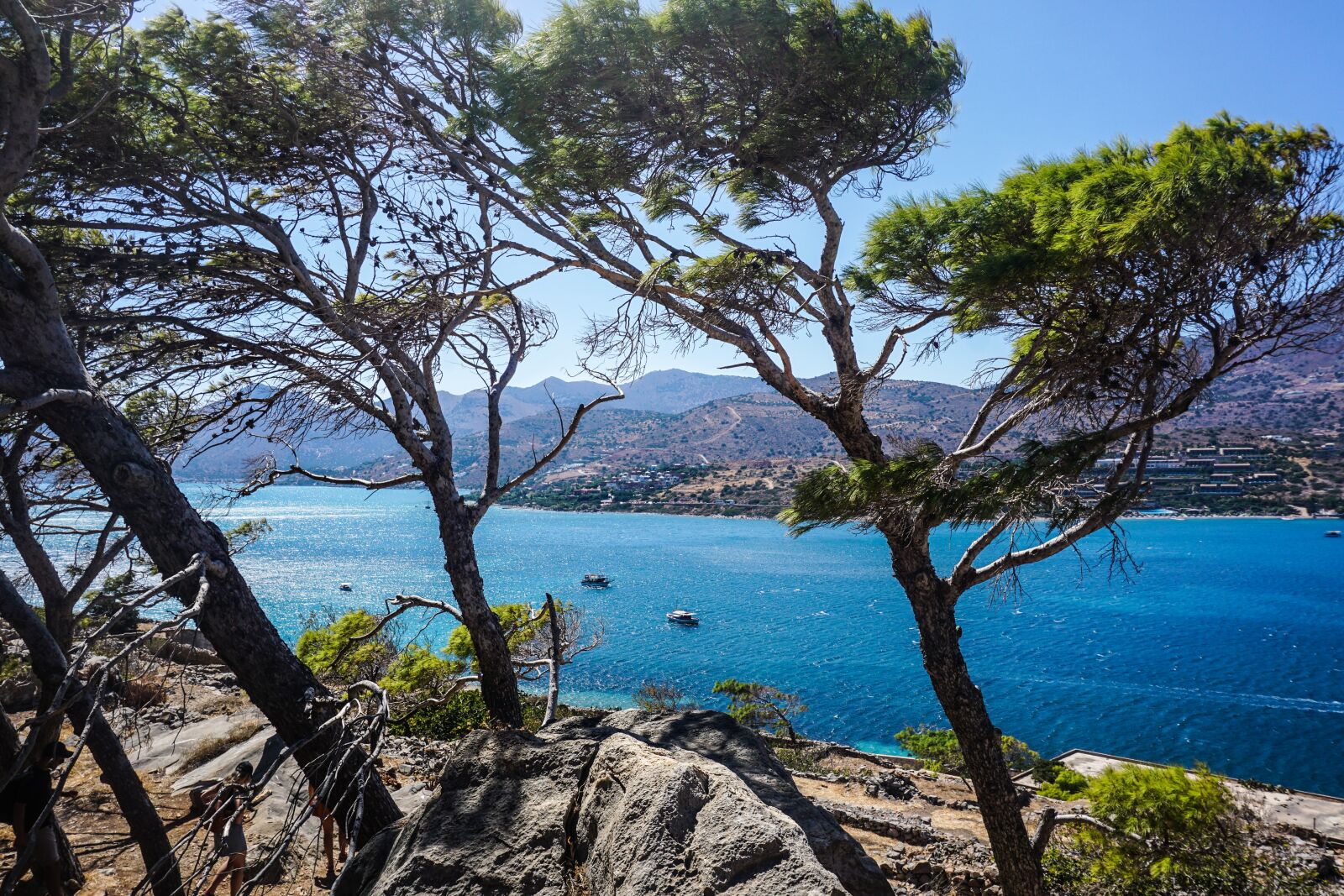 Sony a6000 sample photo. Trees, island, sea photography