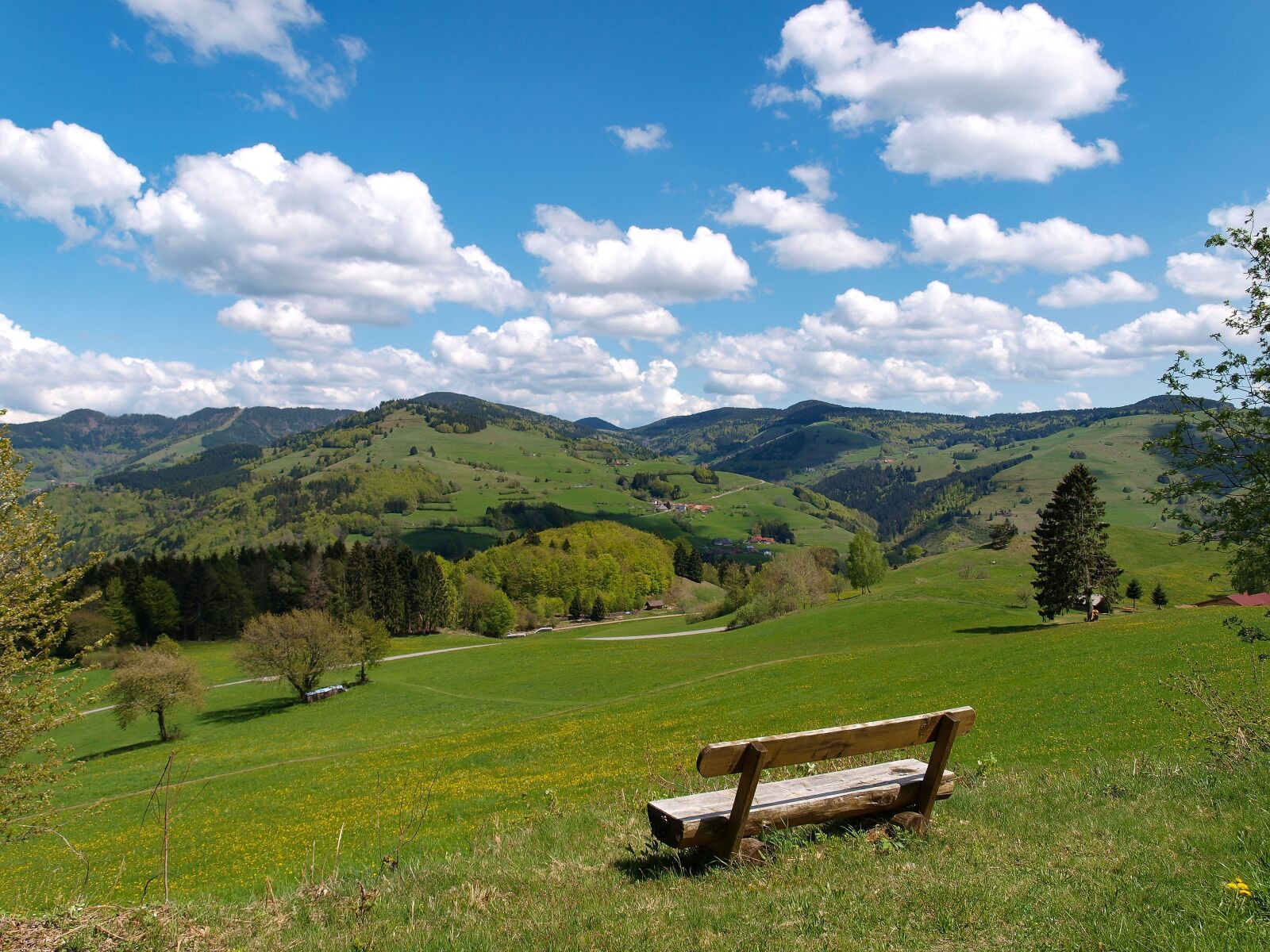 Olympus E-420 (EVOLT E-420) sample photo. Landscape, black forest, germany photography
