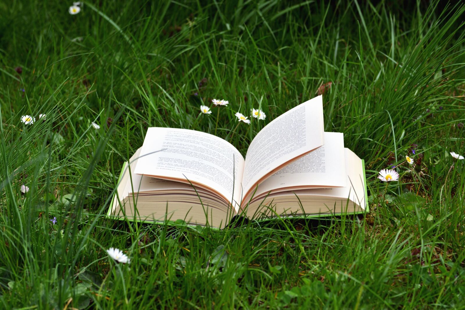 Nikon D5200 sample photo. Learning, book, grass, knowledge photography