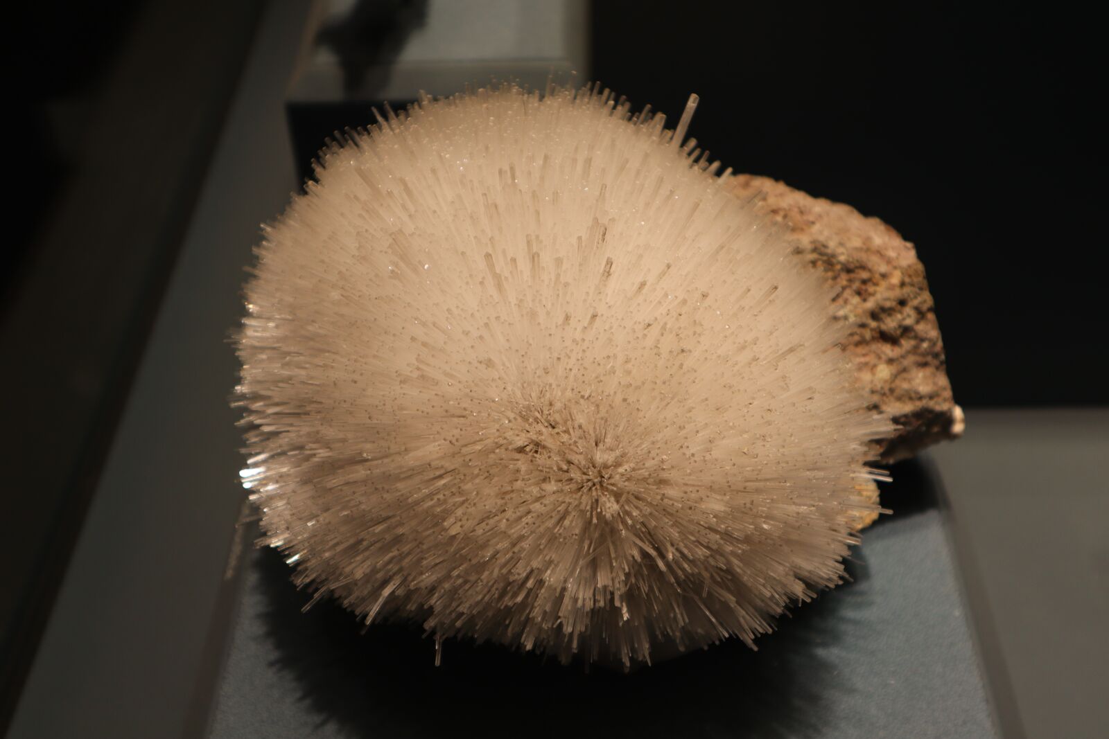 Canon EOS M50 (EOS Kiss M) sample photo. Gem, diamond museum, gem photography