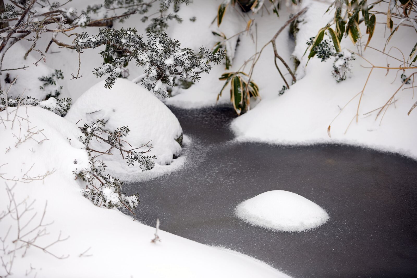Canon EF 70-200mm F2.8L USM sample photo. Snow, white, winter photography