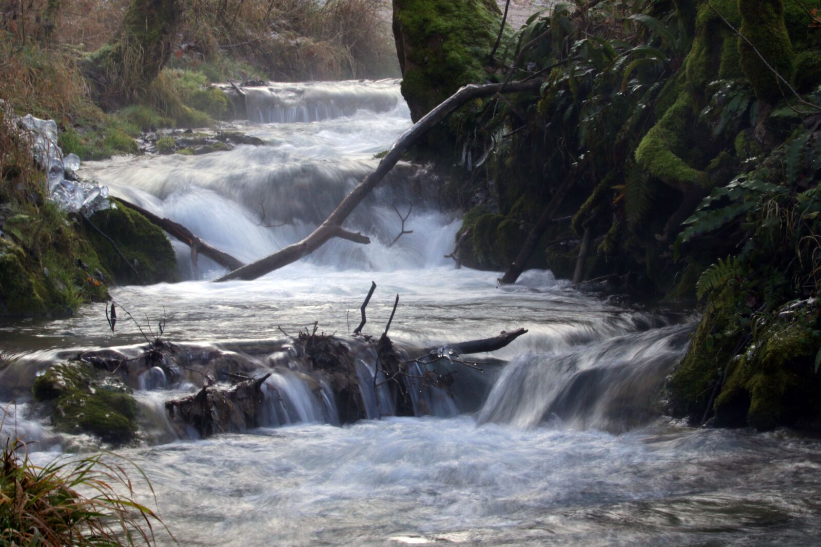 Canon EOS 7D Mark II sample photo. River, water, fog photography