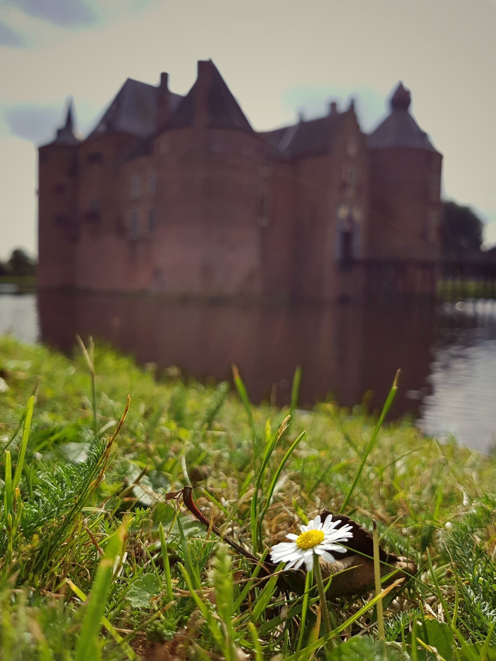 Samsung Galaxy S7 Edge sample photo. Castle, daisy, flower photography