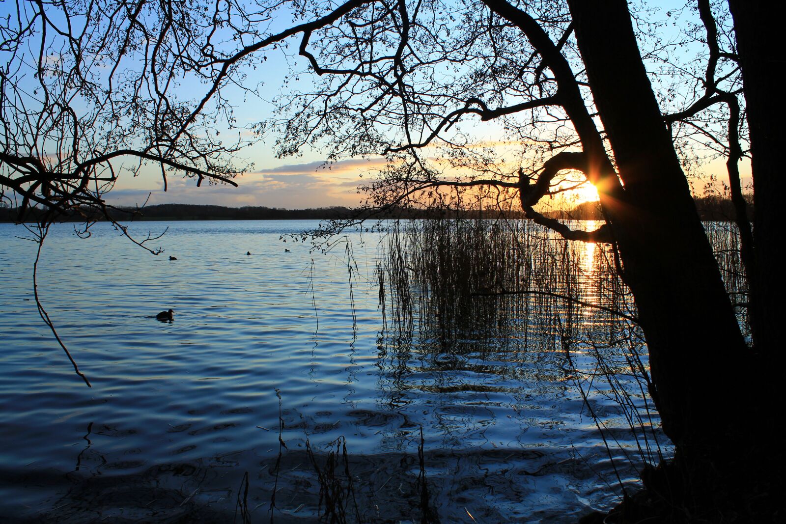 Canon EOS 1100D (EOS Rebel T3 / EOS Kiss X50) sample photo. Bad segeberg, lake, water photography