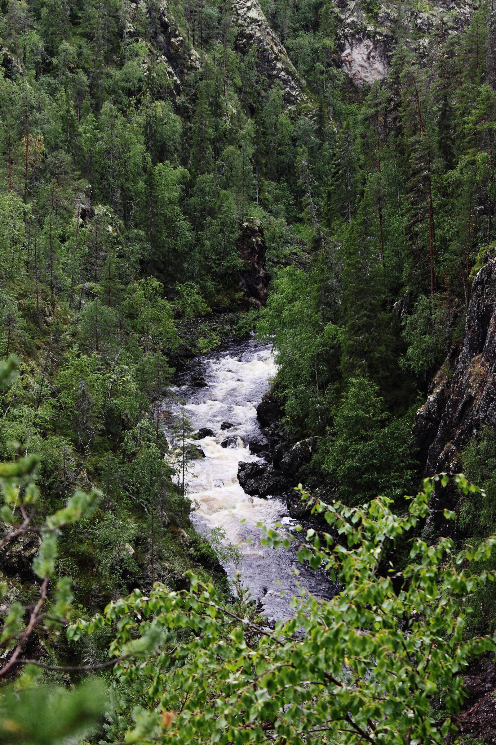 Canon EOS 500D (EOS Rebel T1i / EOS Kiss X3) sample photo. River, threshold, forest photography