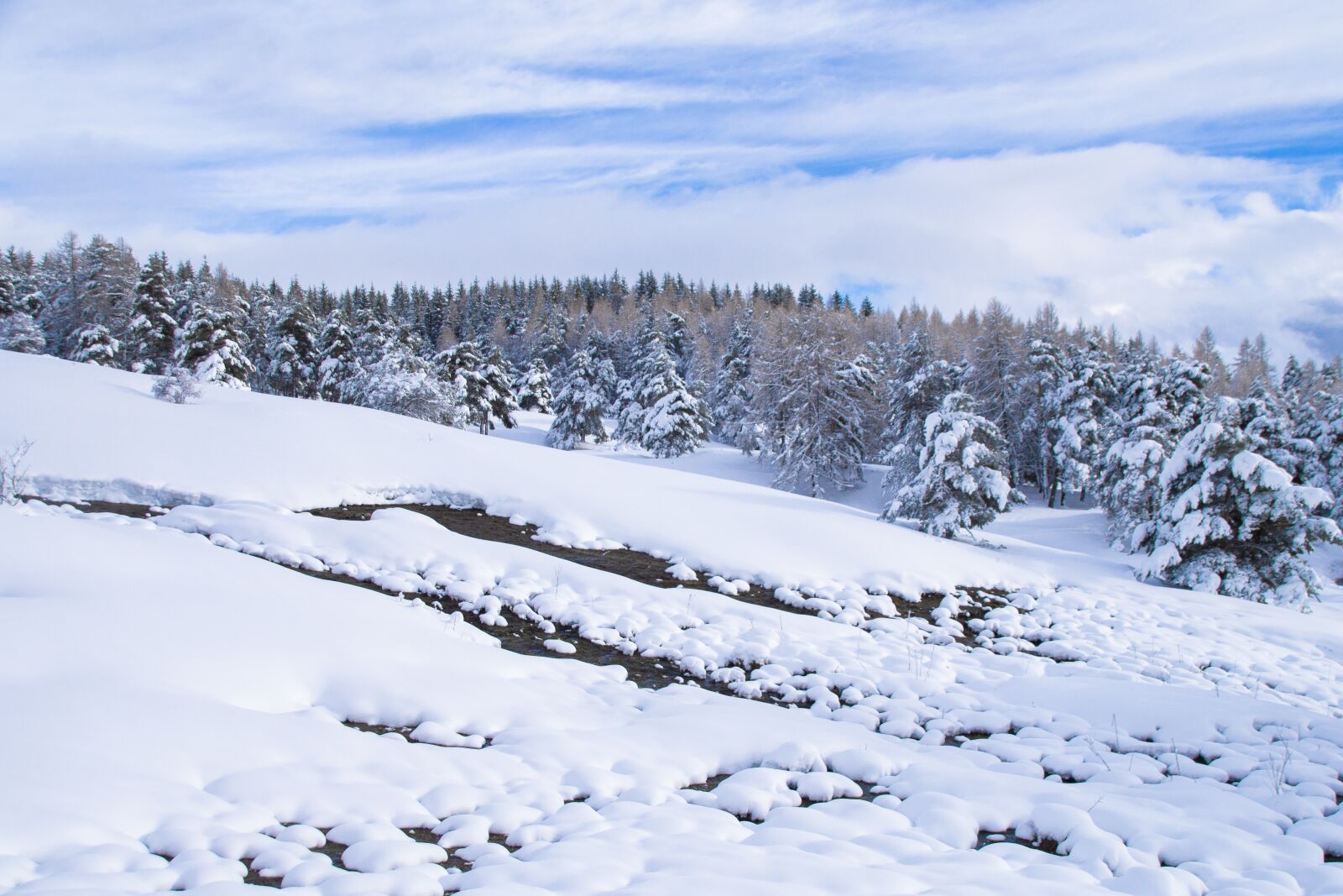 Pentax K-S2 sample photo. Snow, winter, cold photography