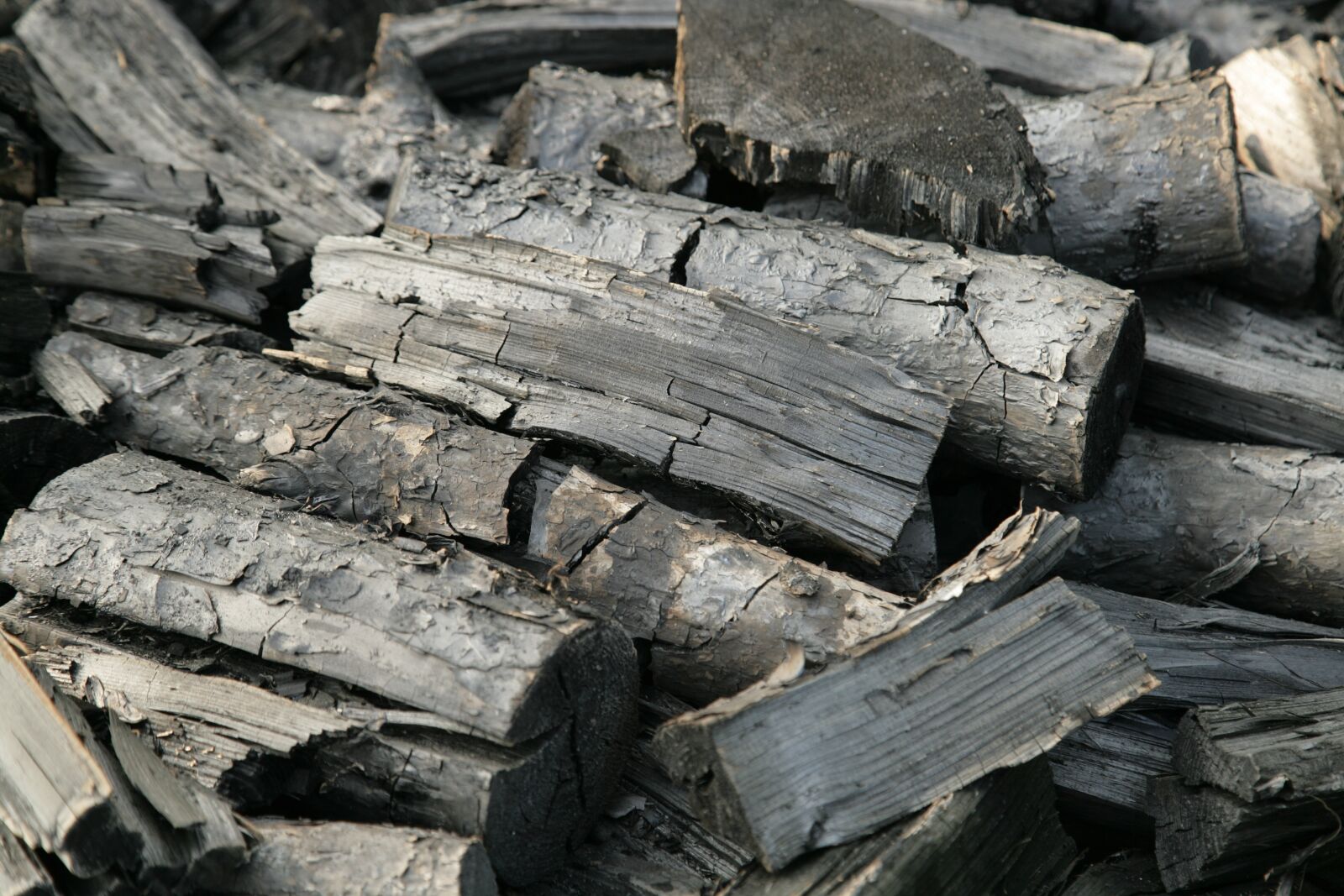 Canon EOS-1Ds Mark II sample photo. Coal, firewood, black photography