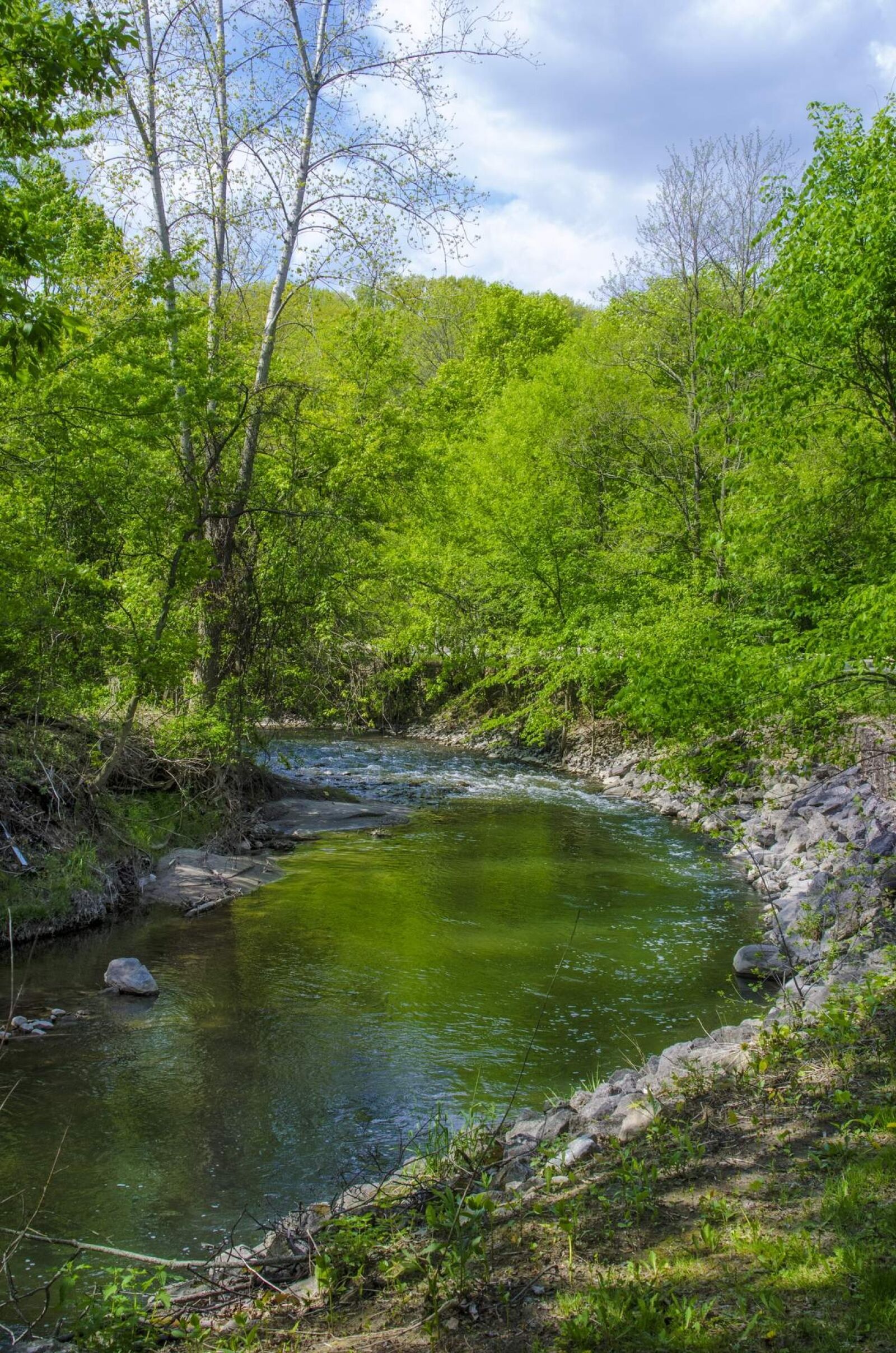 Nikon D5100 sample photo. Nature, landscape, sky photography
