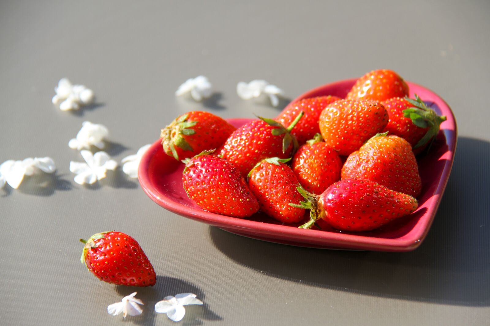Canon EOS 7D sample photo. Strawberries, saucer, sun photography