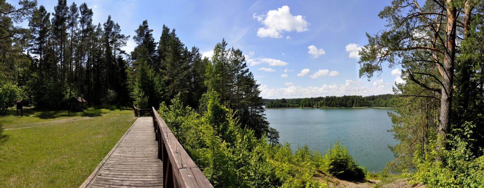 Nikon D5000 sample photo. Nature, tree, panoramic photography