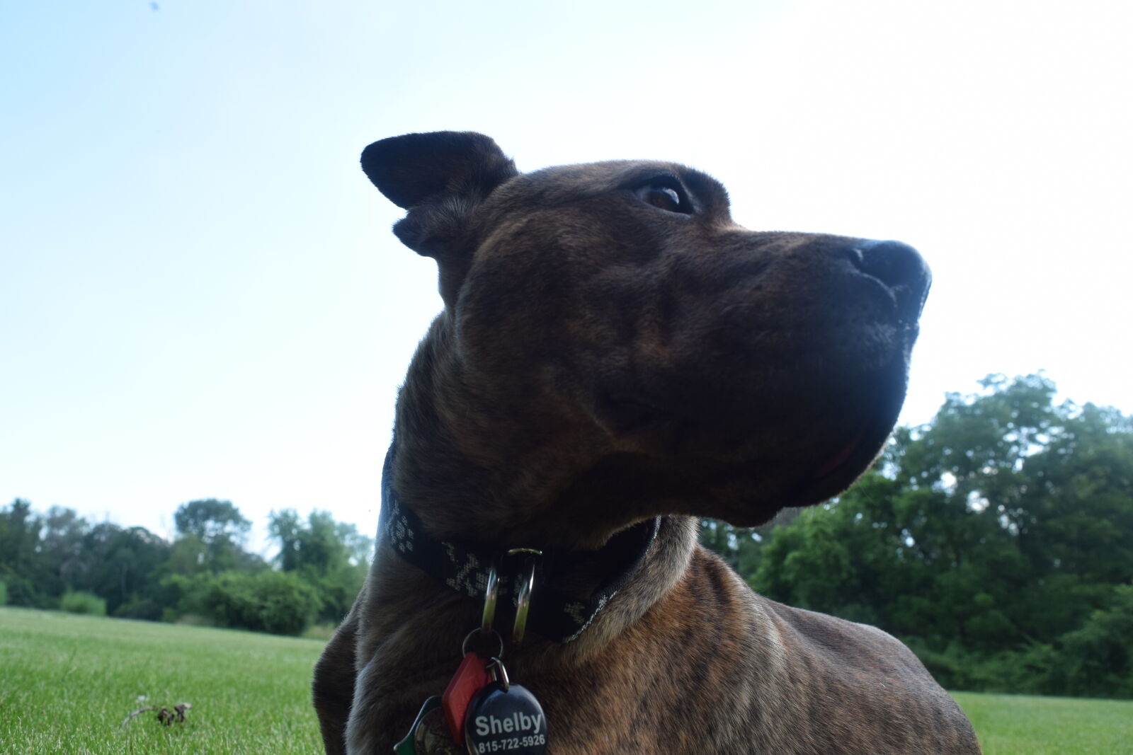Nikon D3300 sample photo