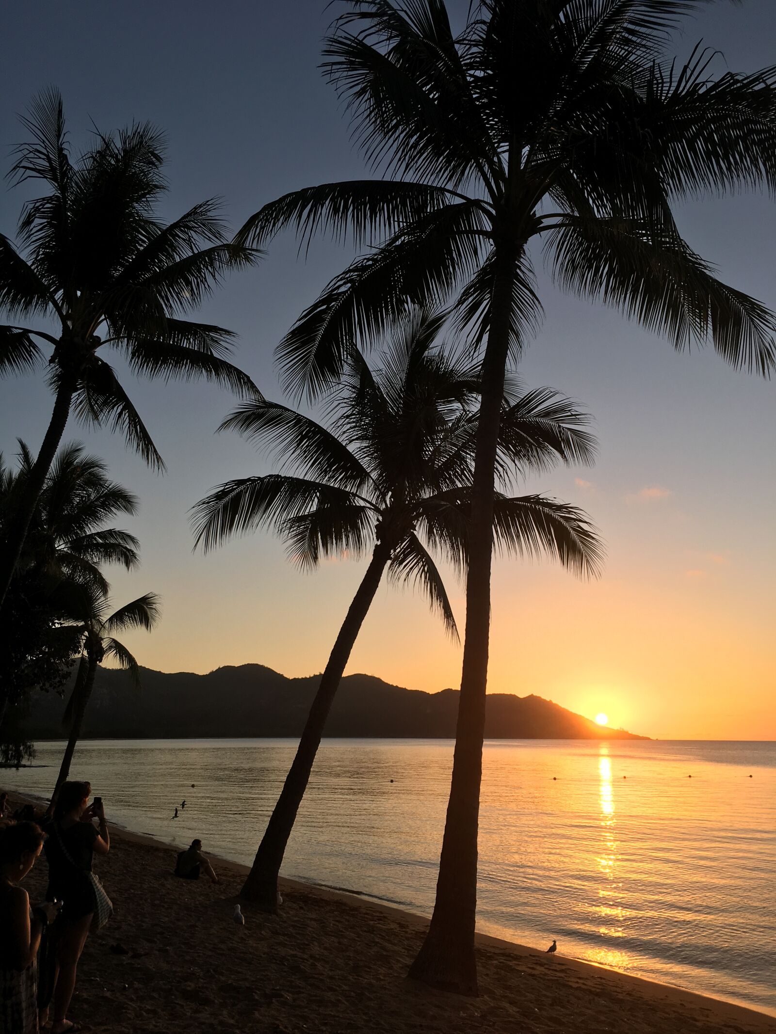 Apple iPhone 6s Plus sample photo. Sunset, tropical, sea photography