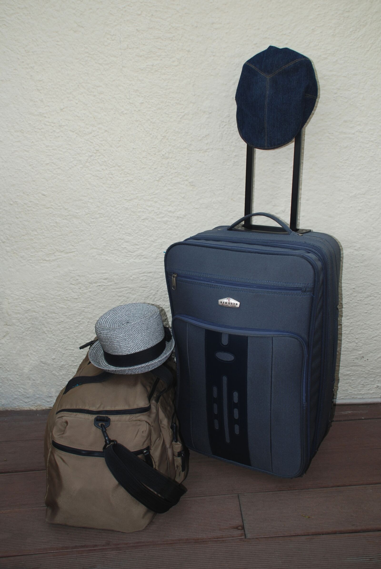 Nikon D80 sample photo. Tourists, bag, suitcase photography