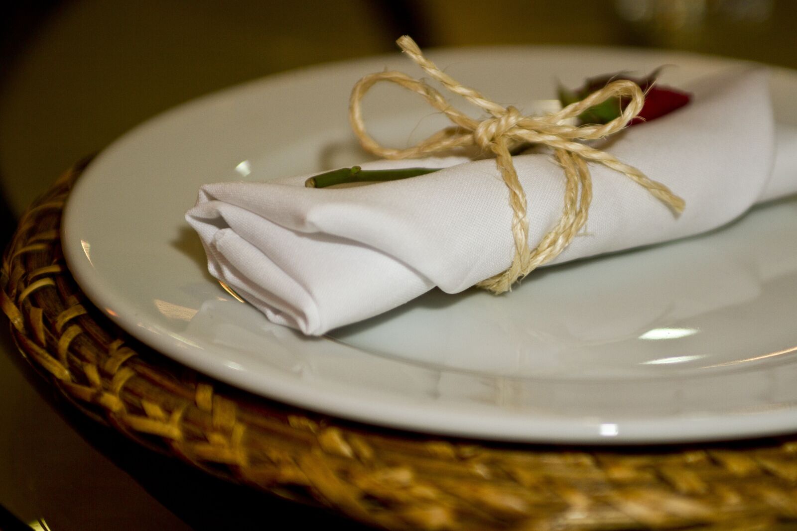 Canon EOS 7D sample photo. Napkin, rosa, plate photography