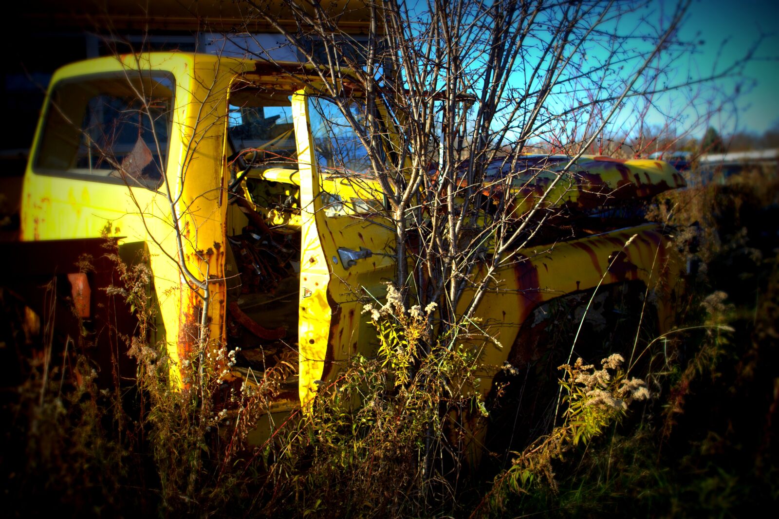 Canon EOS 600D (Rebel EOS T3i / EOS Kiss X5) sample photo. Salvage yard, car, wreck photography