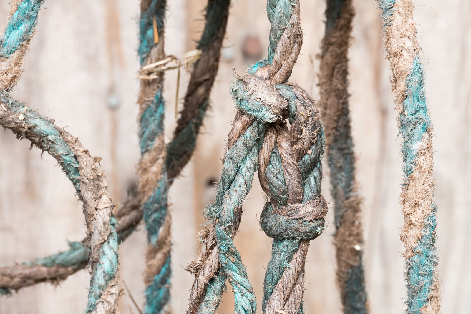 Leica V-Lux (Typ 114) sample photo. Rope, cord, knot photography
