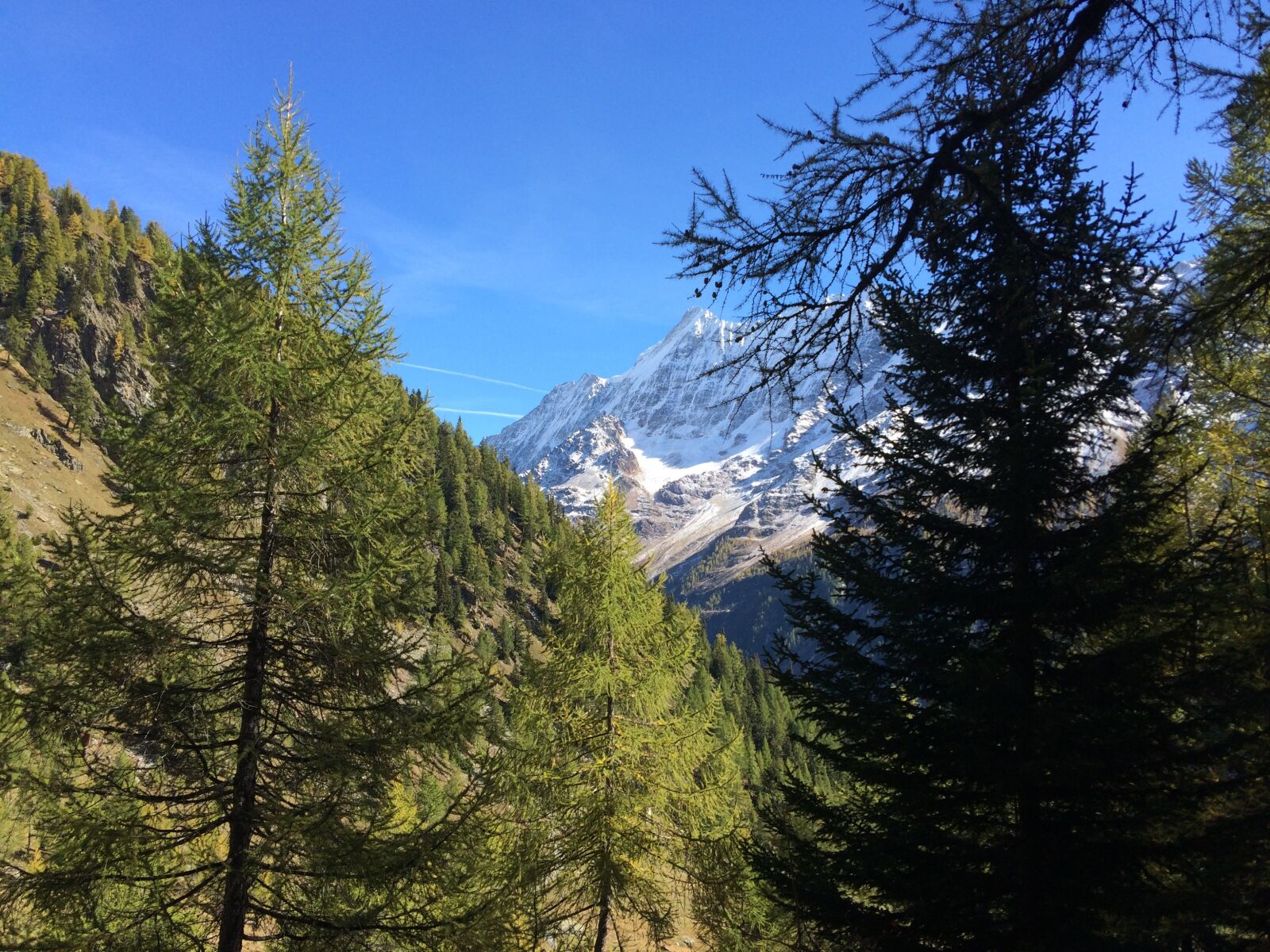 iPhone 5s back camera 4.15mm f/2.2 sample photo. Valais, autumn, trail photography