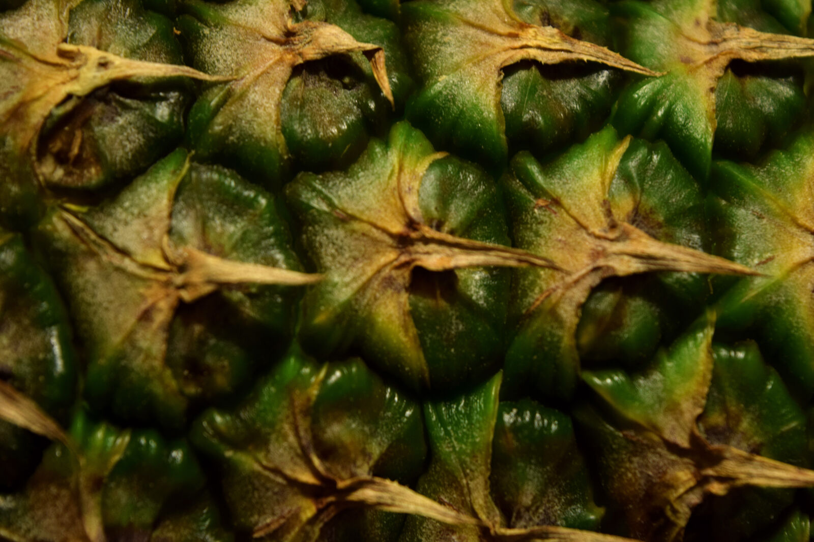 Nikon D3300 sample photo. Ananas, fruit, green, pineapple photography