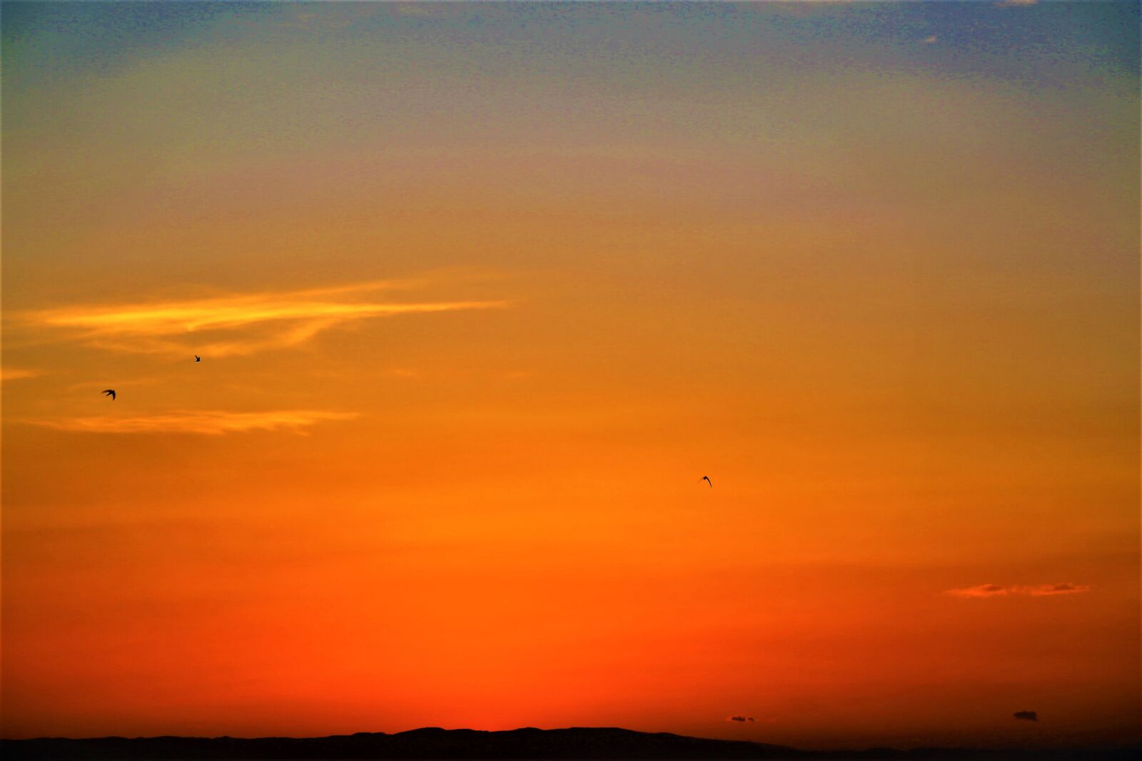 Canon EF 24-105mm F4L IS USM sample photo. Dawn, in the evening photography