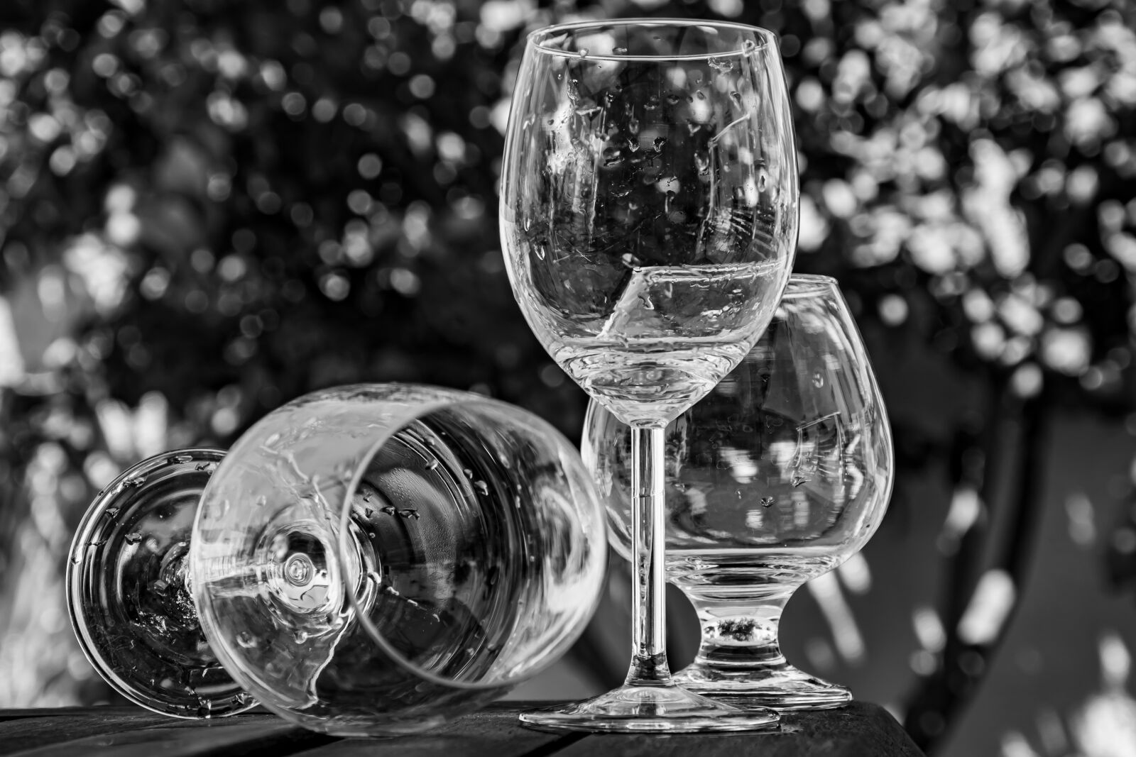 Nikon D5600 sample photo. Glass, wineglass, wine photography